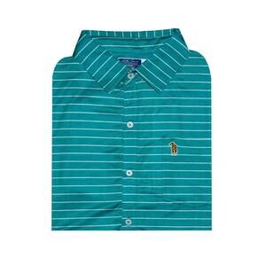 NEW SOUTHERN CASANOVA men's stripe button down polo in teal